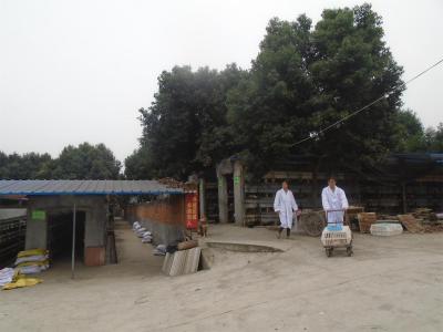 技術(shù)人員選育兔種